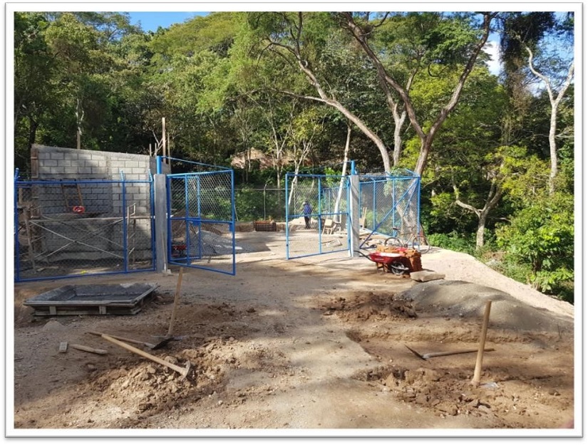 catarina